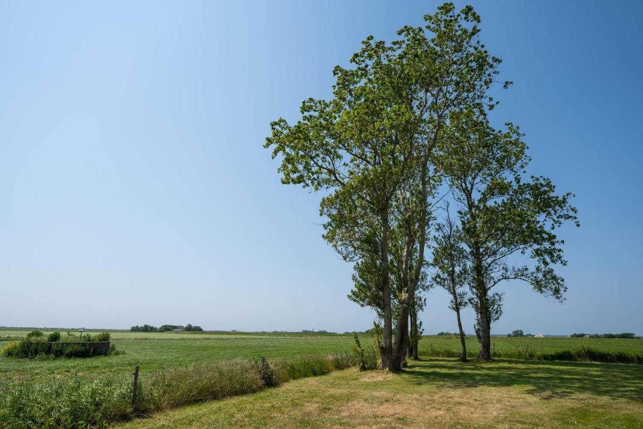 Maison d'hôtes Johanneshoeve - De Mooiste Plek Op Texel